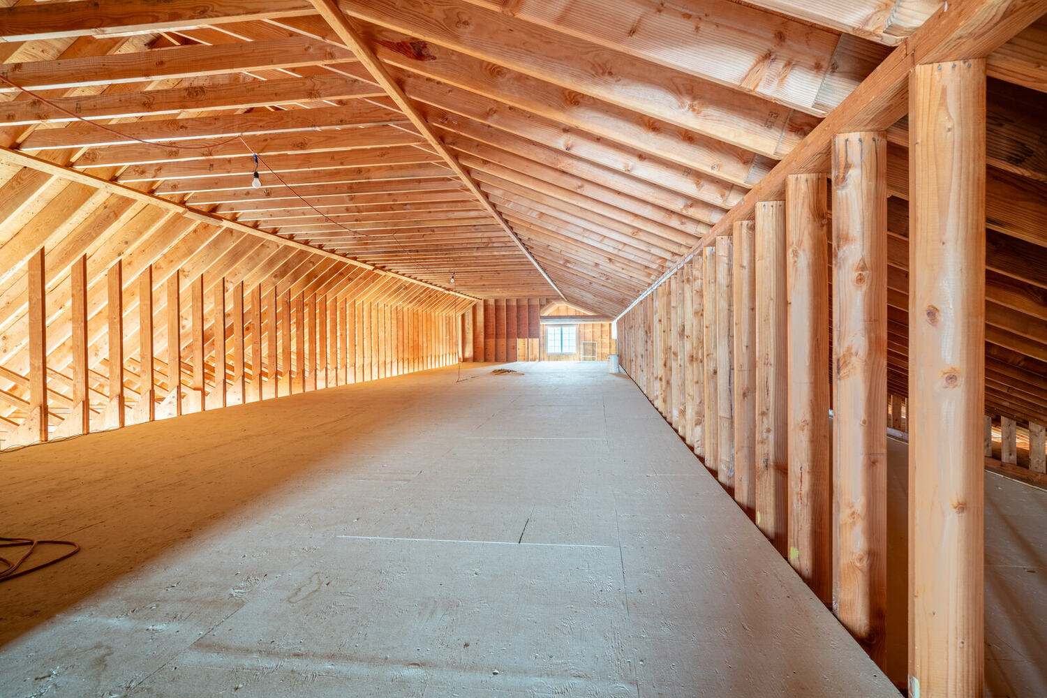 The full framed span of Building 2's interior