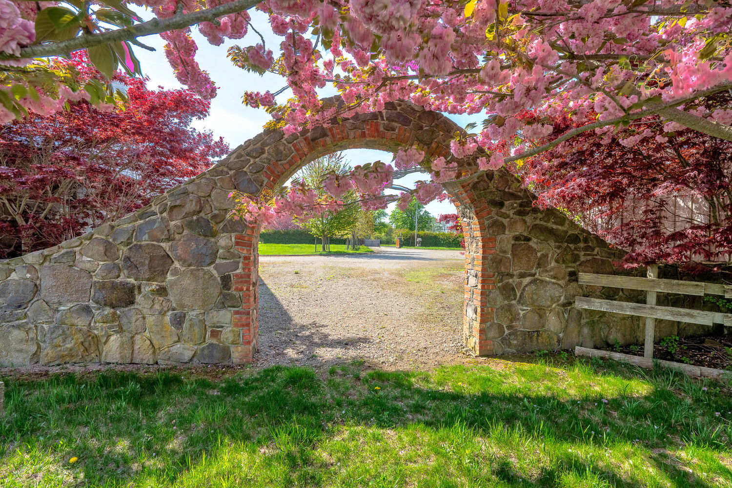Looking through the stone arch under a canopy of pink blossoms
