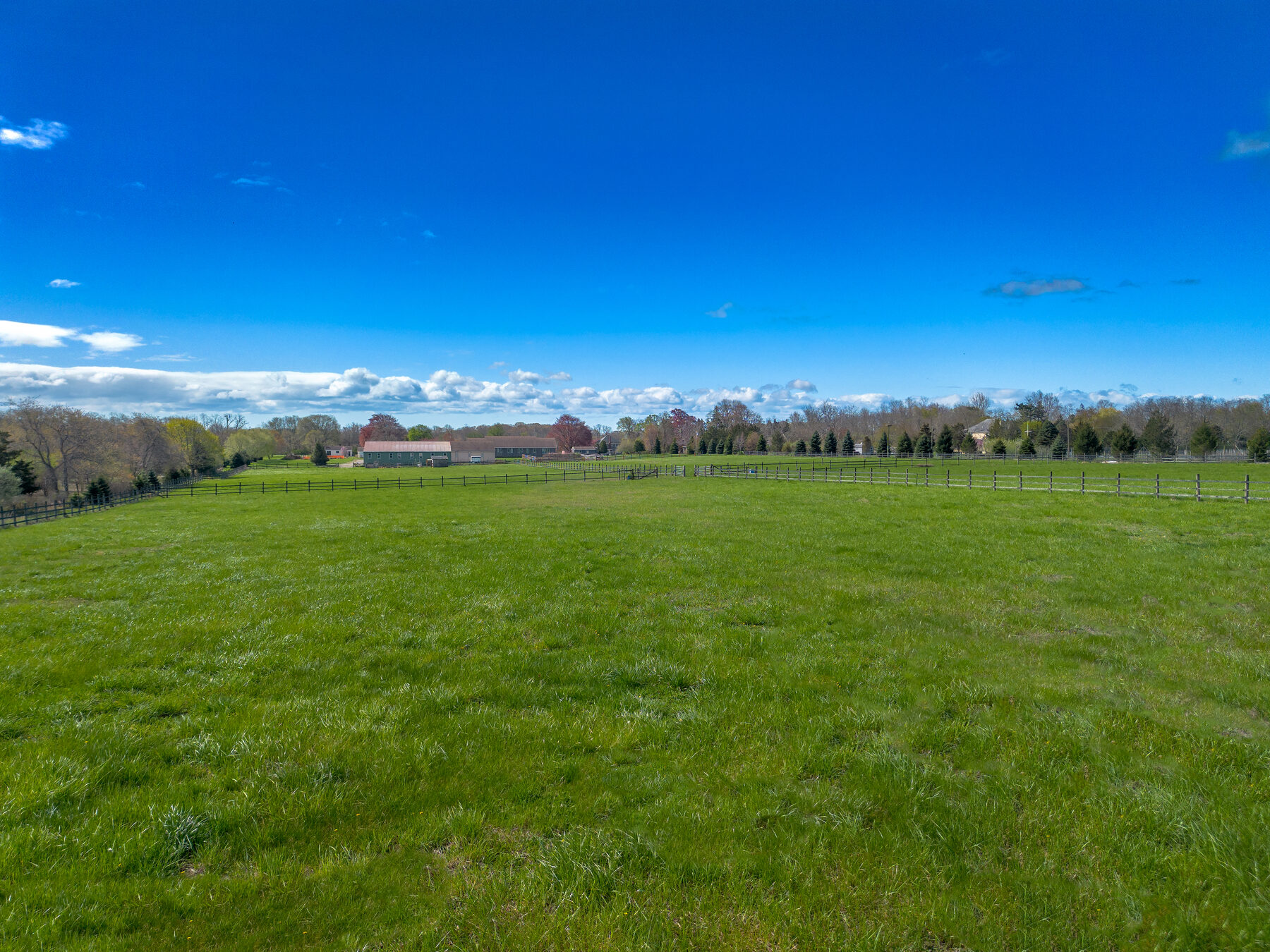Wide pasture view across the equestrian land